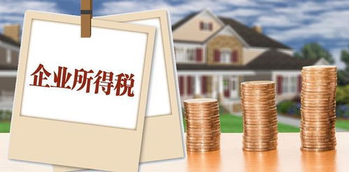 企業所得稅納稅人范疇、征稅規定及會計處理