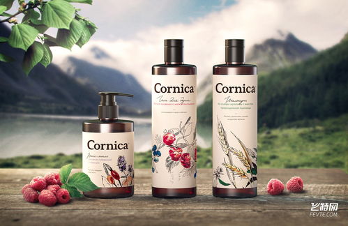 質感復古風格洗發(fā)水包裝設計 重塑化妝品與衛(wèi)生用品的視覺魅力